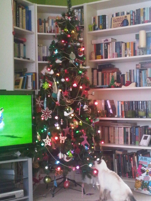 Malteser__christmas_tree
